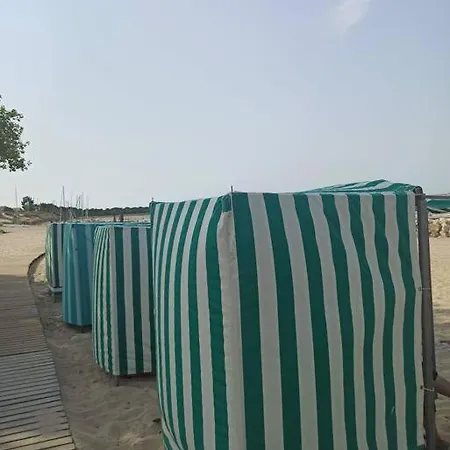 Bee Cool 75 M2 *